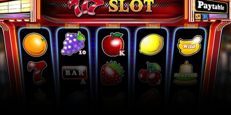 Variedade de categorias disponíveis para os membros